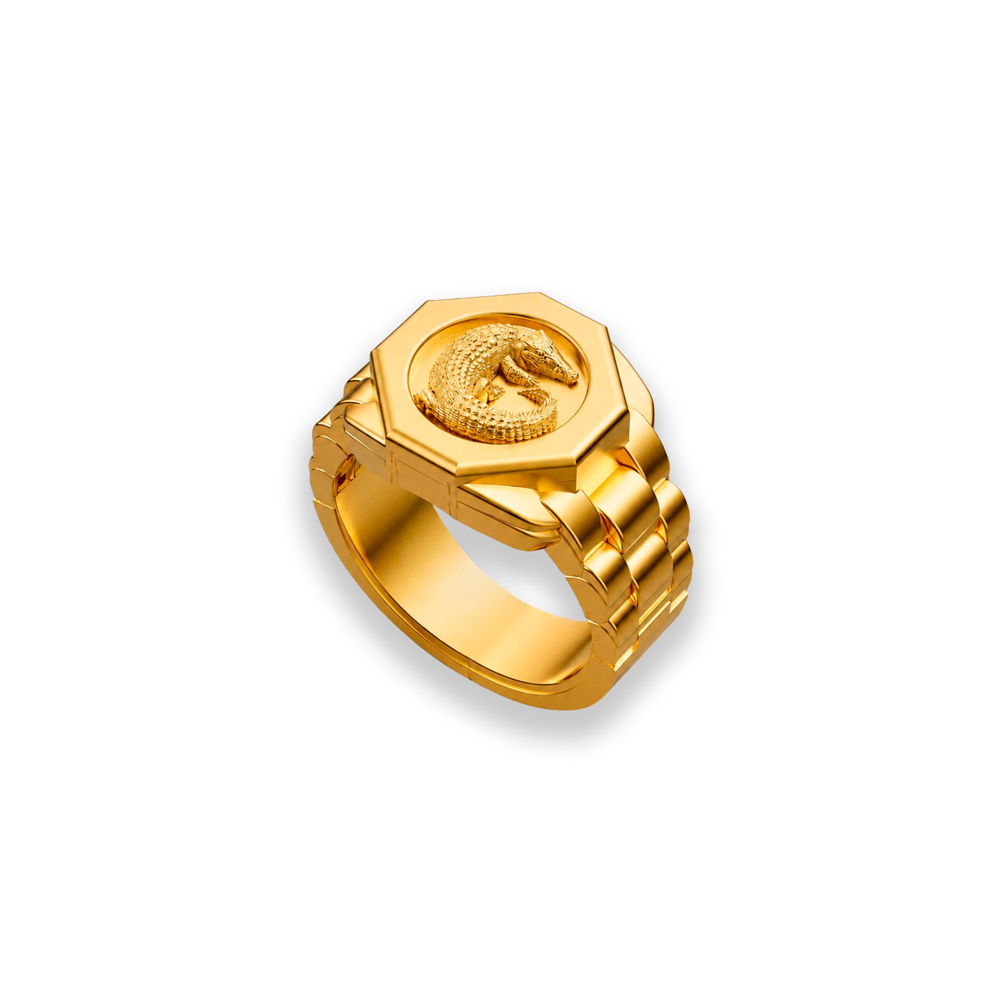 Anillo Crocodylus