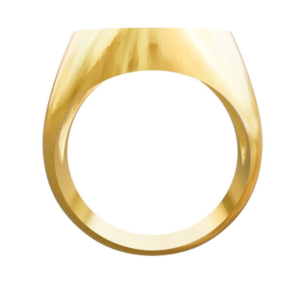 Aureus